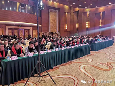 赢战201991看片APP永久免费四川新品发布会暨核心经销商峰会圆满成功